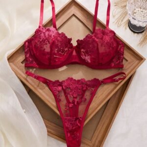 2pcs Mesh Embroidery Women's Lingerie Set Red Lace Lingerie Set Red Lace Thong Red Lace Bra Red Bra And Panty Set Burgundy Lingerie Set